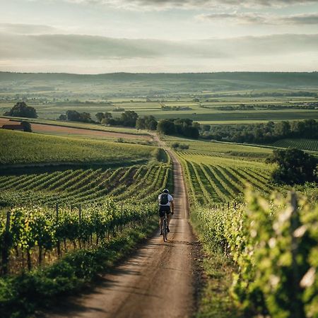 Falkensteiner Balance Resort Stegersbach - Adults Only Eksteriør billede Vineyards in the Moselle region